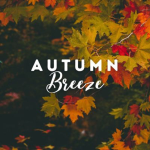 Obrázek epizody Autumn Breeze: Wind and Rustling Leaves Sound