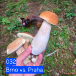 Obrázek epizody 032 Brno vs. Praha