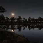 Obrázek epizody Midnight Marsh Ambience: Fall Asleep Fast Nature Soundscape