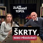 Obrázek epizody Proč je propouštění úředníků podle Topolánka past na rozpočet? Vládní paradox škrtů a růstu platů