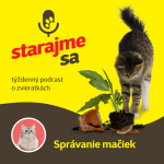 Obrázek epizody Mačky: Správanie mačiek