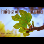 Obrázek epizody Poučte se od fíkovníku - Bohuslav Wojnar (3.2.2019)