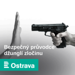 Obrázek epizody Jízda v autě sedmnáctiletých řidičů, na které dohlíží takzvaný mentor