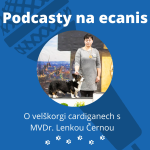 Obrázek epizody O velškorgi cardiganech s MVDr. Lenkou Černou!