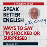 Obrázek epizody Speak Better English with Harry | Episode 314