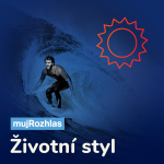 Obrázek epizody Šarm: Abeceda zdraví s Hanou Stříteckou, ředitelkou spolku Fér potravina: význam omega 3 mastných kyselin