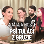 Obrázek epizody Agáta & Psí tuláci z Gruzie: Dovolená, která jim změnila život… a zachránila stovky psů (krátká verze)