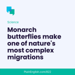 Obrázek epizody The world’s biggest butterfly migration