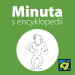 Obrázek epizody Zápas