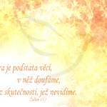 Obrázek epizody Víra pak jest nadějných věcí podstata, a důvod neviditelných - Petr Král (22.5.2011)
