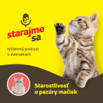 Obrázek epizody Mačky: Starostlivosť o pazúry mačiek
