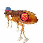 Obrázek epizody #20 Jako bleška závod vyhrála - TEASER