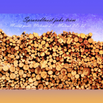 Obrázek epizody Mesiáš podle Matouše 21 - Spravedlnost jako trám - Bohuslav Wojnar (2.12.2012)