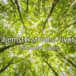 Obrázek epizody Tajemství stromu života (velkopáteční poezie)