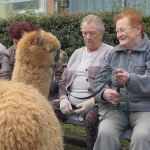 Obrázek epizody Neobvyklou návštěvu měli obyvatelé Penzionu pro seniory v Komořanské ulici v Mostě.