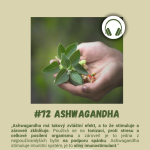 Obrázek epizody #72 ASHWAGANDHA / adaptogen, Ayurveda, afrodiziakum, imunita, revmatoidní artritida, GABA, úzkosti, deprese, mentální výkonnost, spánek, usínání, nádorová, onemocnění, mozek, nervy, erekce