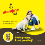 Obrázek epizody Psy: Škola pre psy, ktoré pomáhajú - 2. časť