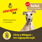 Obrázek epizody Psy: Chrty a Whippet - ten najpopulárnejší