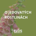 Obrázek epizody O jedovatých rostlinách