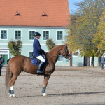 Obrázek epizody Kladruby nad Labem