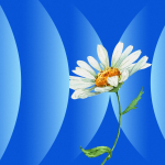 Obrázek epizody The Queen of Dying