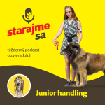 Obrázek epizody Psy: Junior handling