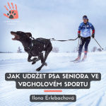 Obrázek epizody Jak udržet psa seniora ve vrcholovém sportu | Ilona Erlebachová