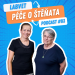 Obrázek epizody 🐾 Péče o ŠTĚŇATA 🐾 | Labvet Podcast #83