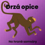 Obrázek epizody 10. Drzá opice