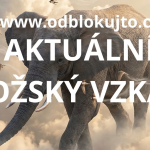 Obrázek epizody BOŽSKÝ VZKAZ PRO TEBE❣️💫Vyber si kartu❣️5️⃣VARIANT