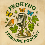 Obrázek epizody PPP7: Ptáci