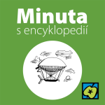 Obrázek epizody Vzducholodě