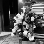 Obrázek epizody #premiera - DOGVILLE