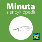 Obrázek epizody Betlémská hvězda