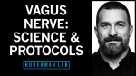 Obrázek epizody Control Your Vagus Nerve to Improve Mood, Alertness & Neuroplasticity
