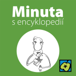 Obrázek epizody Piltdownský člověk