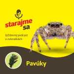 Obrázek epizody Teraristika: Pavúky