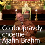 Obrázek epizody Co doopravdy chceme? | Ajahn Brahm | 6.5.2011