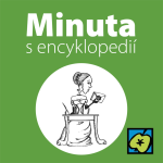 Obrázek epizody Zlatý řez