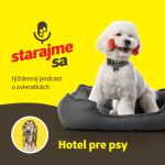 Obrázek epizody Psy: Hotel pre psy