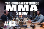 Obrázek epizody JRE MMA Show #43 with Brendan Schaub