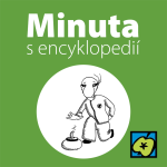 Obrázek epizody Curling