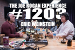 Obrázek epizody #1203 - Eric Weinstein