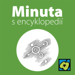 Obrázek epizody Kruhy v obilí