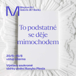 Obrázek epizody Art Talks: S Ronym Pleslem o výstavě To podstatné se děje mimochodem