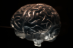 Obrázek epizody O neurovede a filozofii