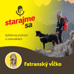 Obrázek epizody Psy: Fatranský vĺčko