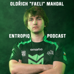 Obrázek epizody AMA with Faeli, profesionální hráč Hearthstone Oldřich "Faeli" Mahdal