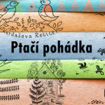 Obrázek epizody Ptačí pohádka