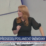 Obrázek epizody Šebelová ostře k Rajchlovi: Hayato vám vadí. A útoky jeho bratra na Pekarovou kvůli dětem ne?